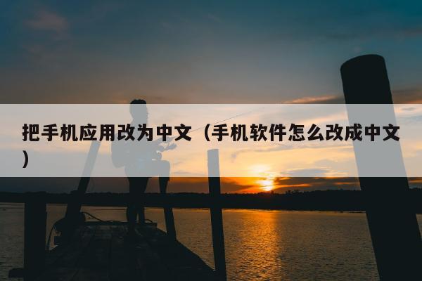 把手机应用改为中文（手机软件怎么改成中文）