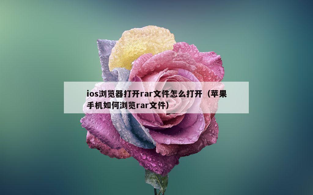 ios浏览器打开rar文件怎么打开（苹果手机如何浏览rar文件）