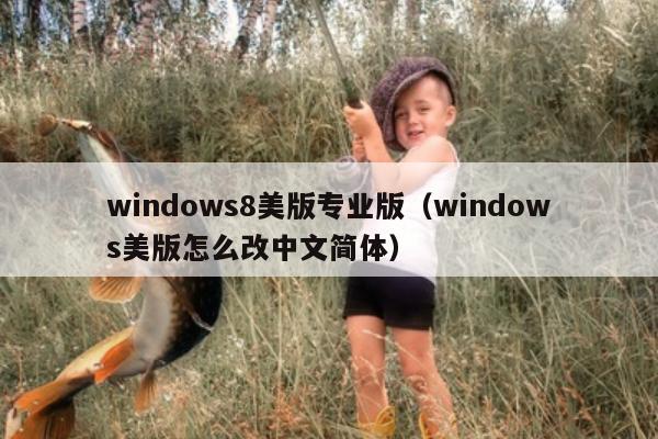 windows8美版专业版（windows美版怎么改中文简体）