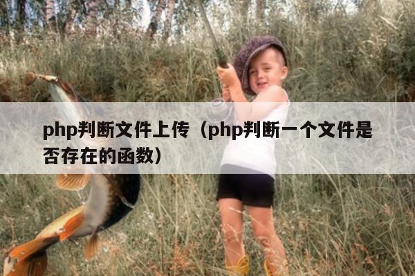 php判断文件上传（php判断一个文件是否存在的函数）