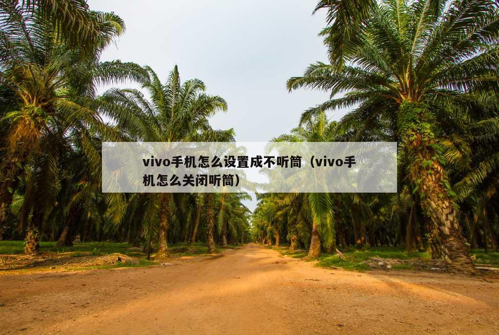 vivo手机怎么设置成不听筒（vivo手机怎么关闭听筒）