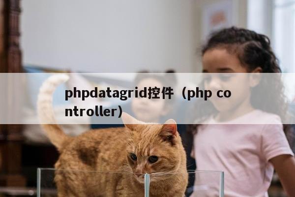 phpdatagrid控件（php controller）