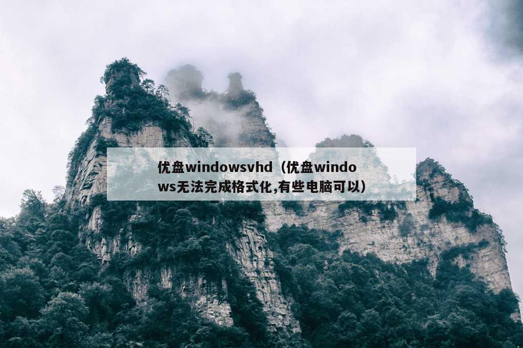 优盘windowsvhd（优盘windows无法完成格式化,有些电脑可以）