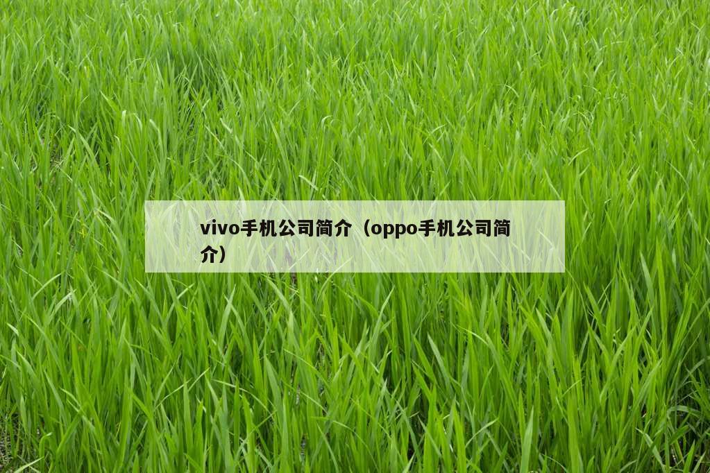 vivo手机公司简介（oppo手机公司简介）