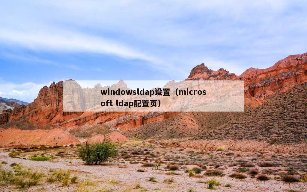 windowsldap设置（microsoft ldap配置页）