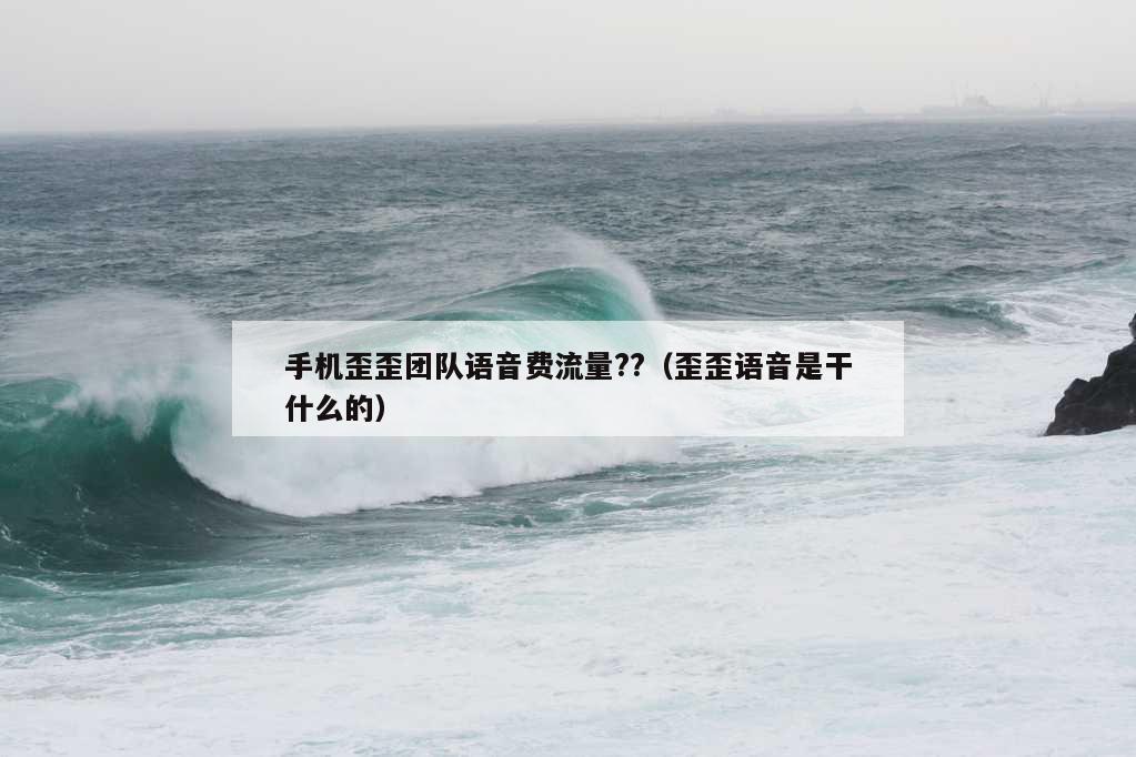 手机歪歪团队语音费流量??（歪歪语音是干什么的）