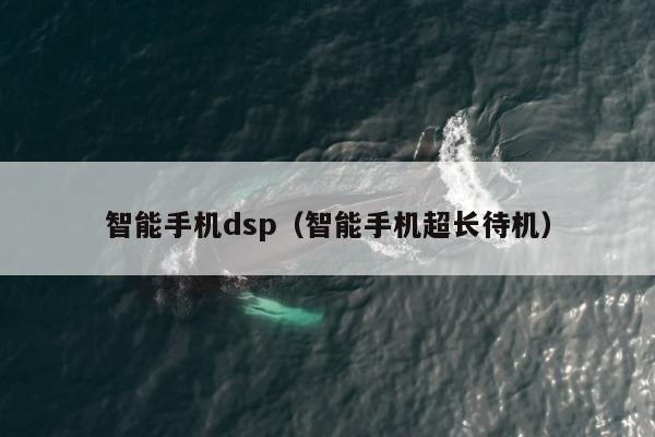 智能手机dsp（智能手机超长待机）