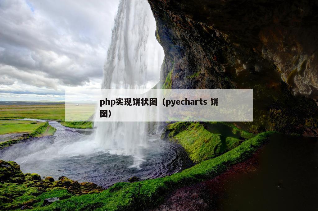 php实现饼状图（pyecharts 饼图）