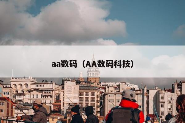 aa数码（AA数码科技）