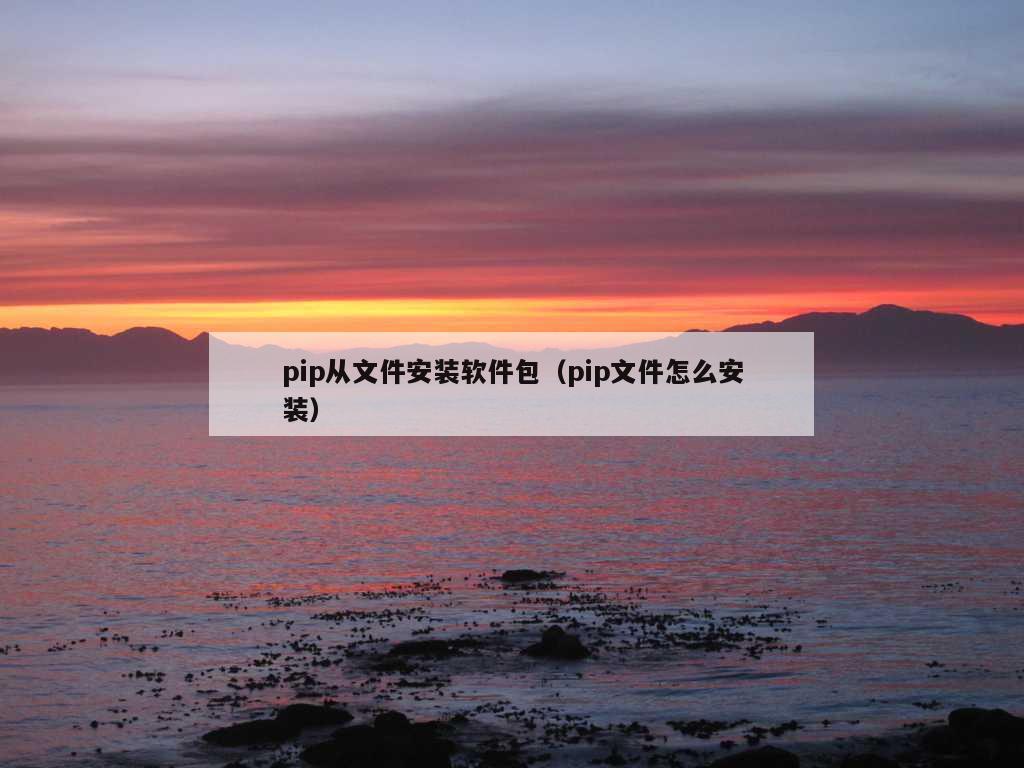 pip从文件安装软件包（pip文件怎么安装）