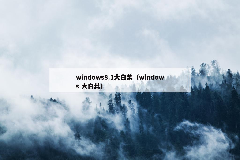 windows8.1大白菜（windows 大白菜）