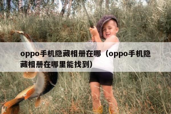 oppo手机隐藏相册在哪（oppo手机隐藏相册在哪里能找到）