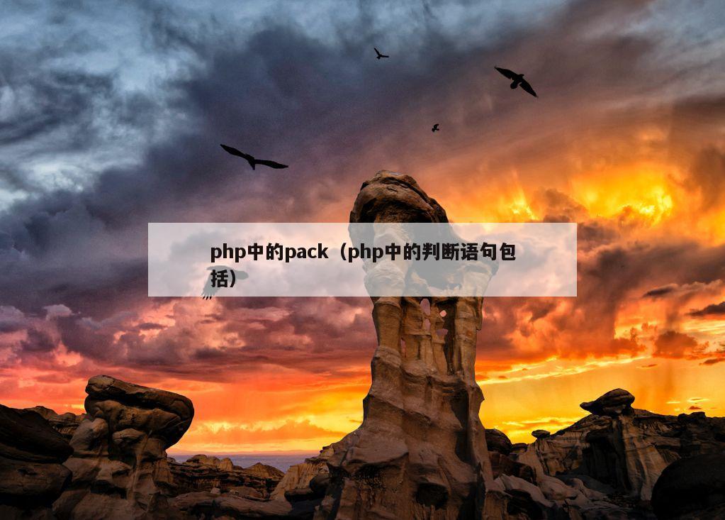 php中的pack（php中的判断语句包括）