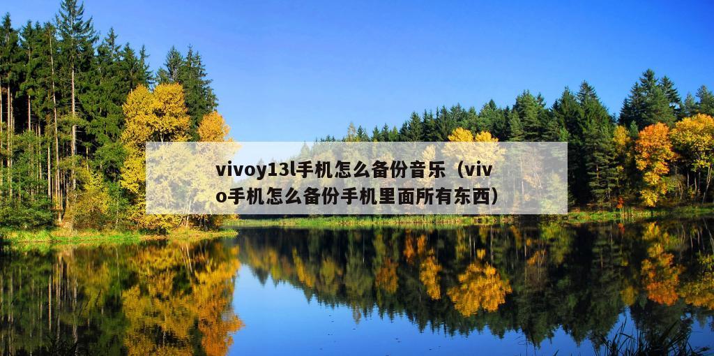 vivoy13l手机怎么备份音乐（vivo手机怎么备份手机里面所有东西）