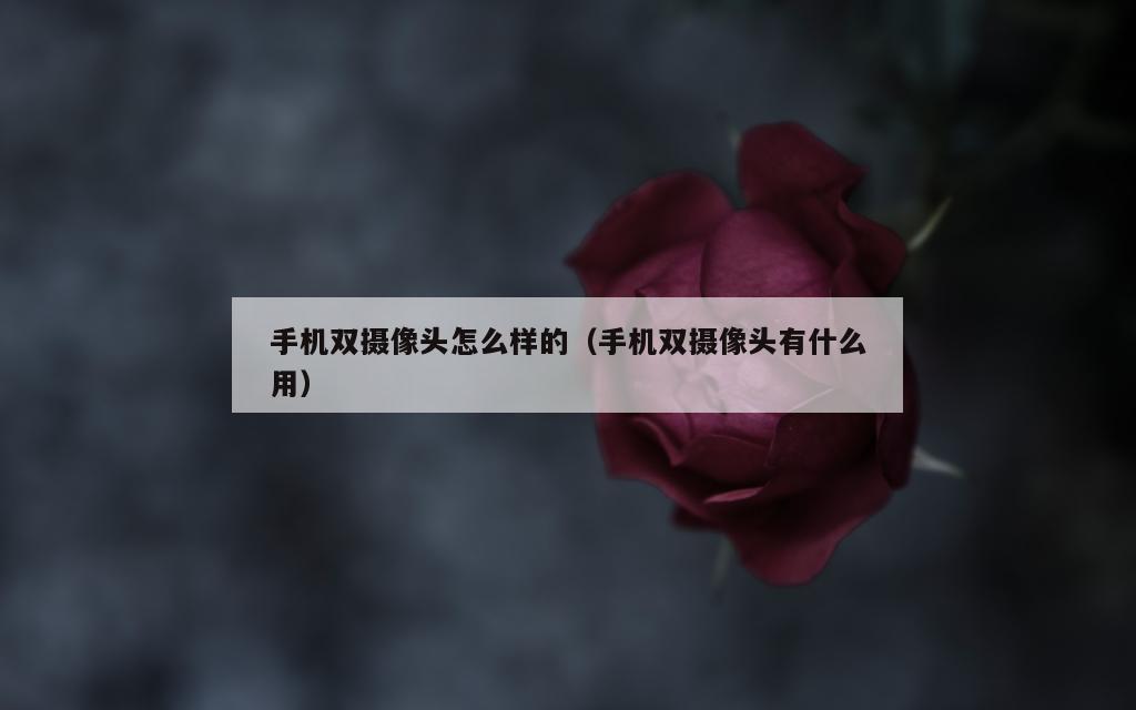 手机双摄像头怎么样的（手机双摄像头有什么用）