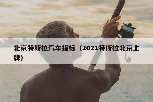 北京特斯拉汽车指标（2021特斯拉北京上牌）