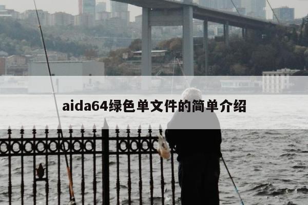 aida64绿色单文件的简单介绍