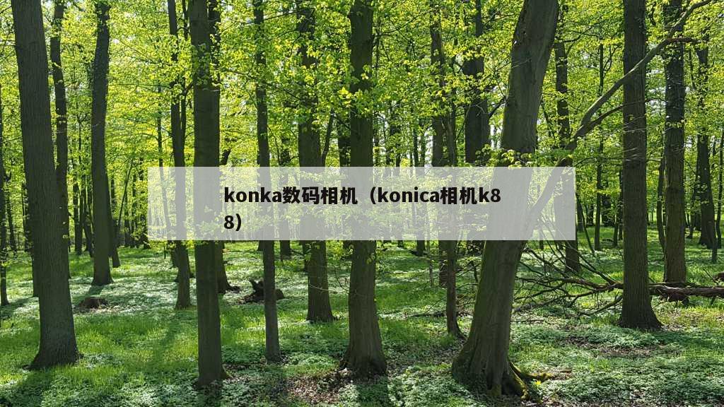 konka数码相机（konica相机k88）