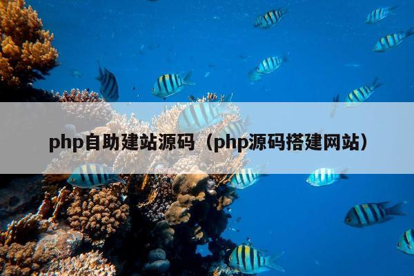 php自助建站源码（php源码搭建网站）