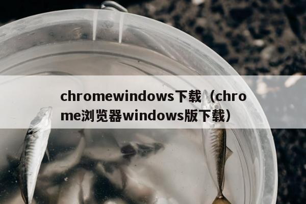 chromewindows下载（chrome浏览器windows版下载）