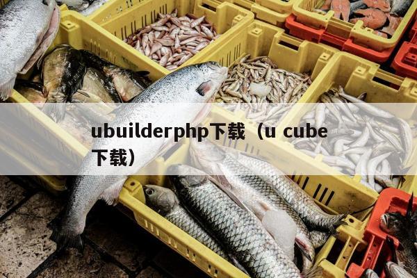 ubuilderphp下载（u cube下载）