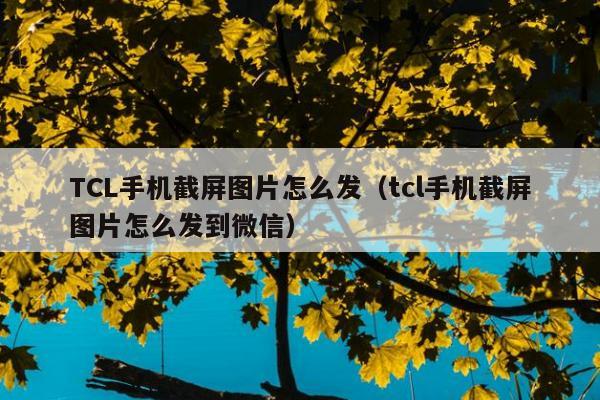 TCL手机截屏图片怎么发（tcl手机截屏图片怎么发到微信）