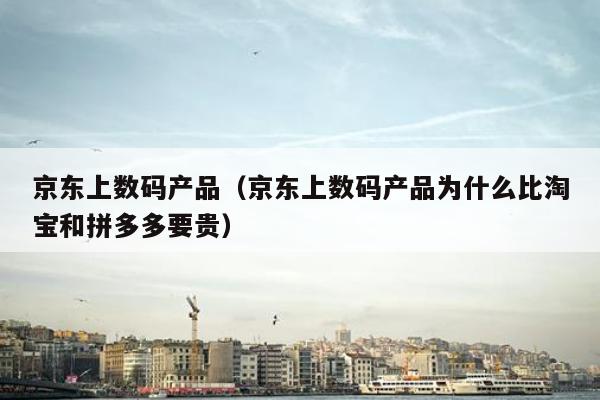 京东上数码产品（京东上数码产品为什么比淘宝和拼多多要贵）