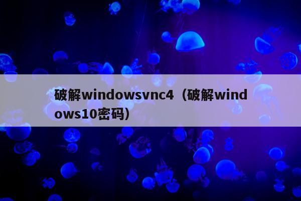 破解windowsvnc4（破解windows10密码）