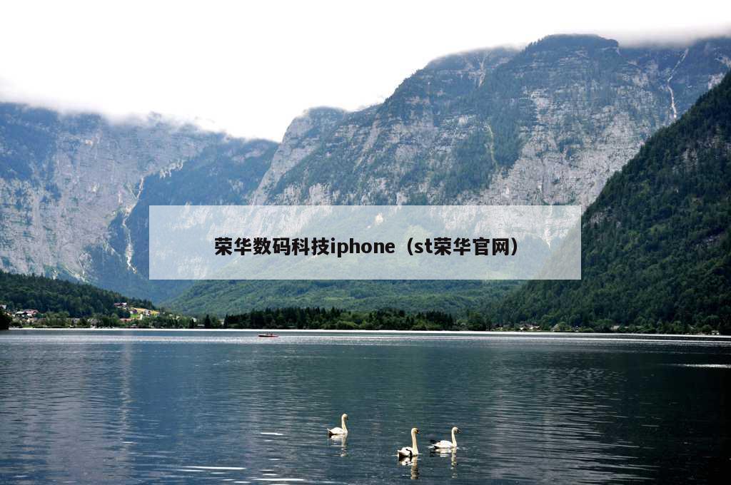 荣华数码科技iphone（st荣华官网）