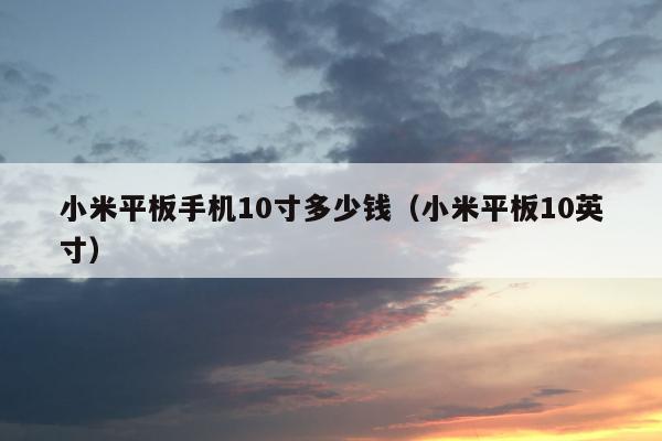 小米平板手机10寸多少钱（小米平板10英寸）