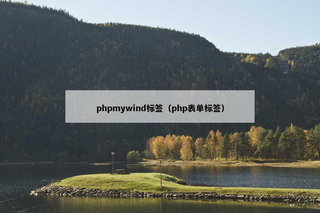 phpmywind标签（php表单标签）