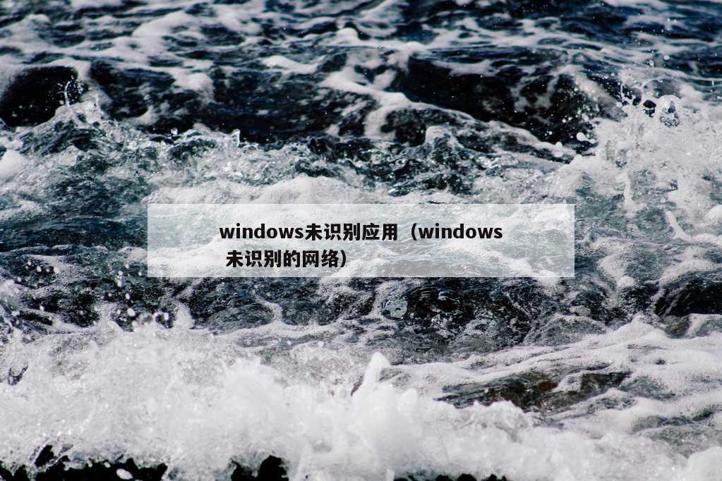 windows未识别应用（windows 未识别的网络）