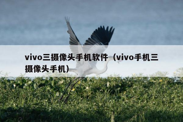 vivo三摄像头手机软件（vivo手机三摄像头手机）