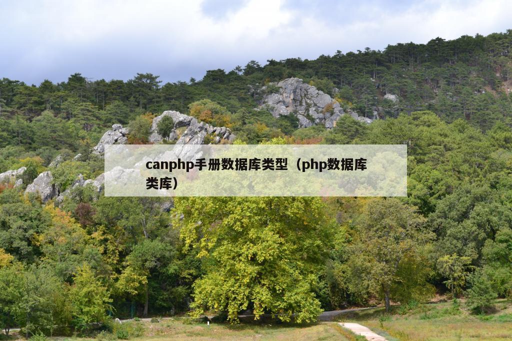 canphp手册数据库类型（php数据库类库）