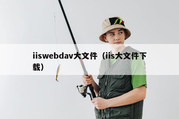 iiswebdav大文件（iis大文件下载）