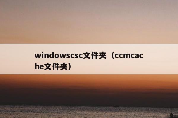 windowscsc文件夹（ccmcache文件夹）