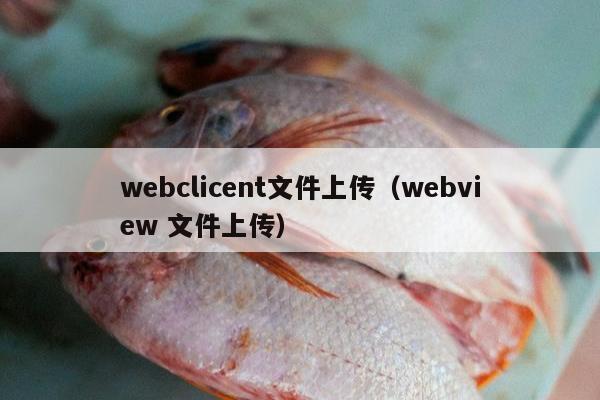 webclicent文件上传（webview 文件上传）