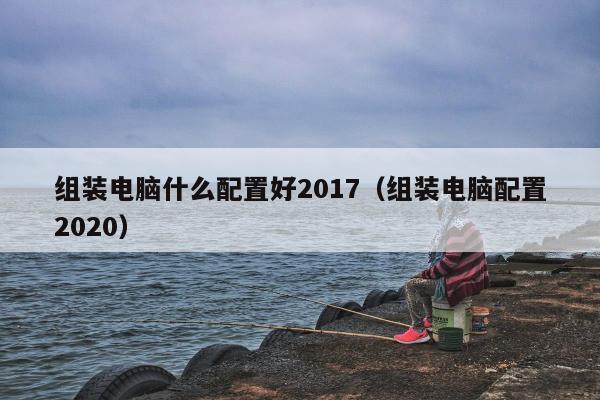 组装电脑什么配置好2017（组装电脑配置2020）