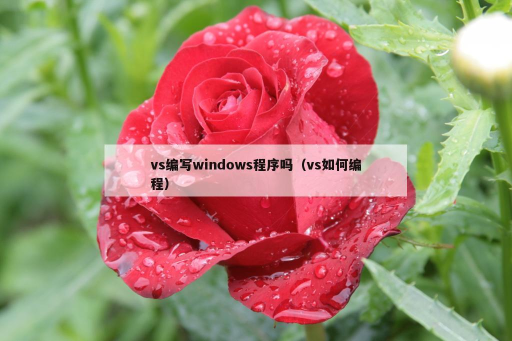 vs编写windows程序吗（vs如何编程）