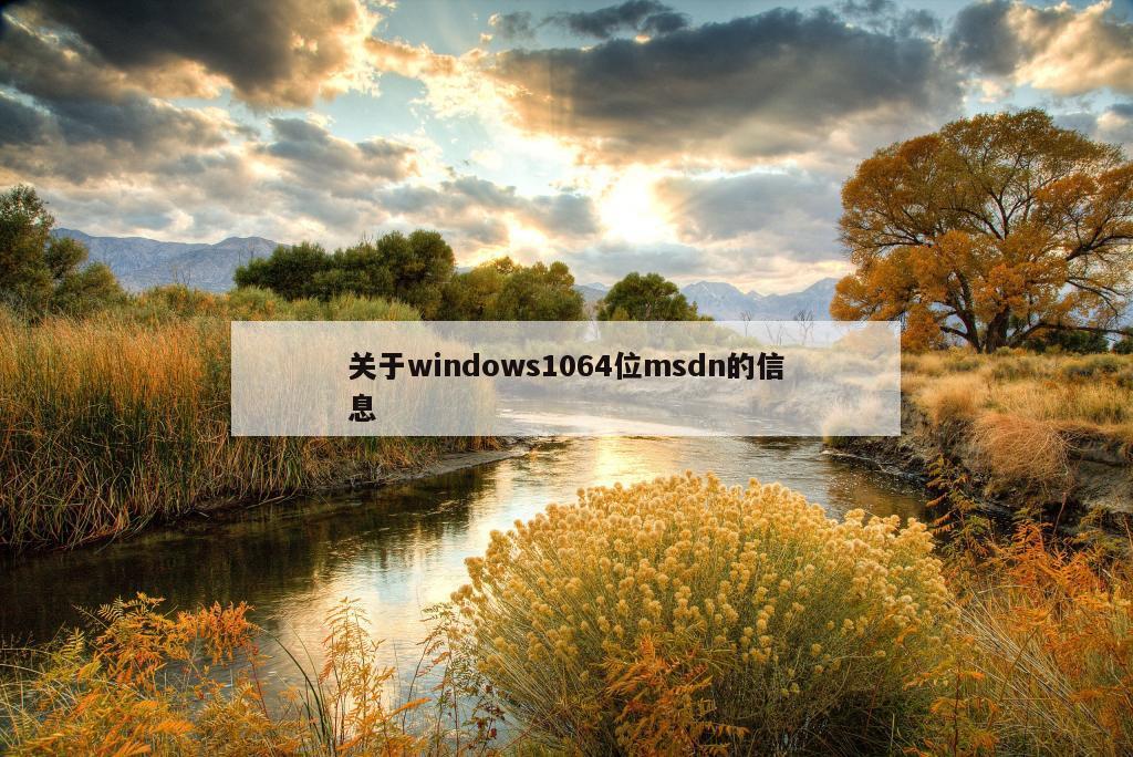 关于windows1064位msdn的信息