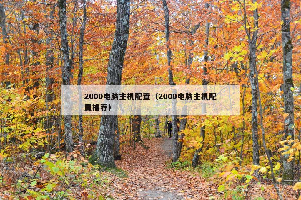 2000电脑主机配置（2000电脑主机配置推荐）