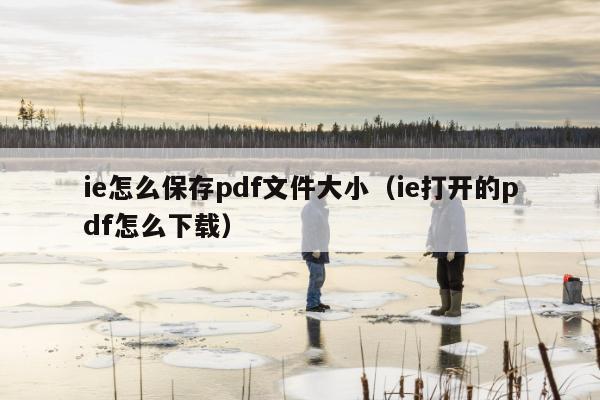 ie怎么保存pdf文件大小（ie打开的pdf怎么下载）