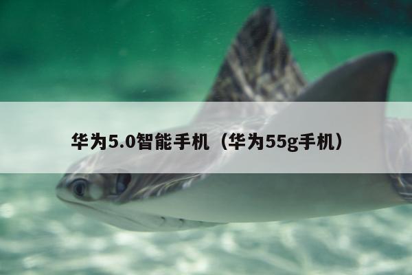 华为5.0智能手机（华为55g手机）