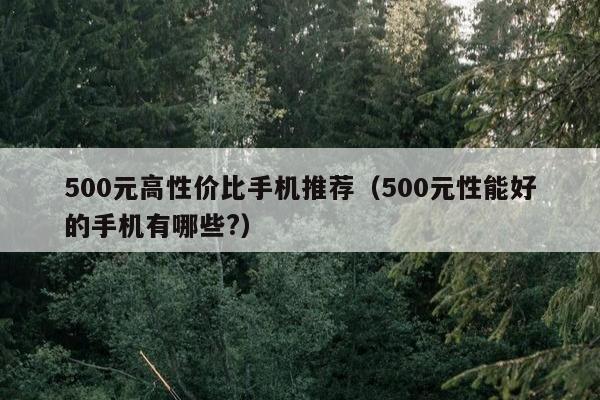 500元高性价比手机推荐（500元性能好的手机有哪些?）