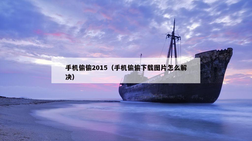 手机偷偷2015（手机偷偷下载图片怎么解决）