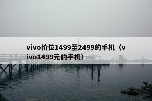 vivo价位1499至2499的手机（vivo1499元的手机）