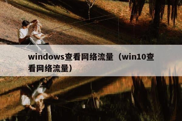 windows查看网络流量（win10查看网络流量）