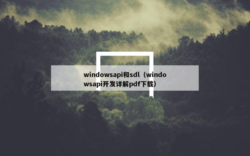 windowsapi和sdl（windowsapi开发详解pdf下载）