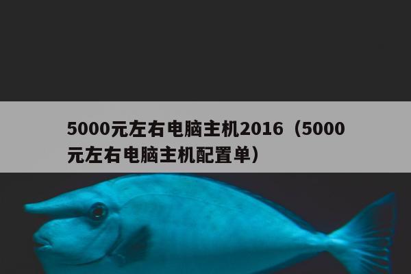 5000元左右电脑主机2016（5000元左右电脑主机配置单）