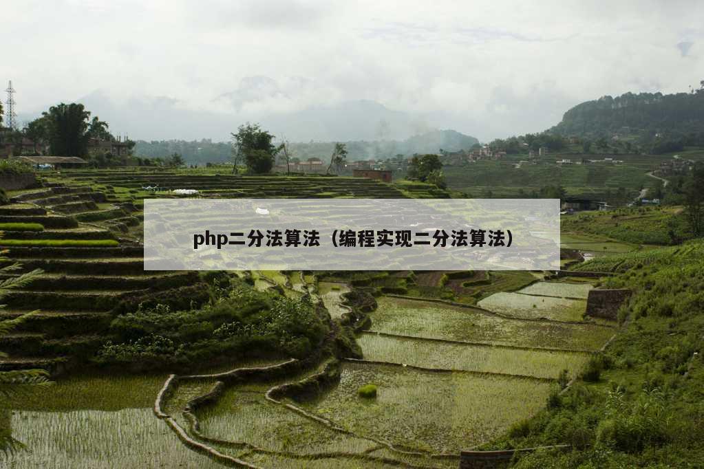 php二分法算法（编程实现二分法算法）